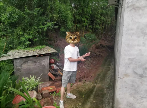 11.png