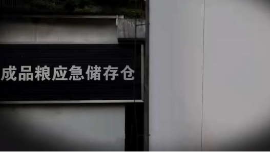 11.png